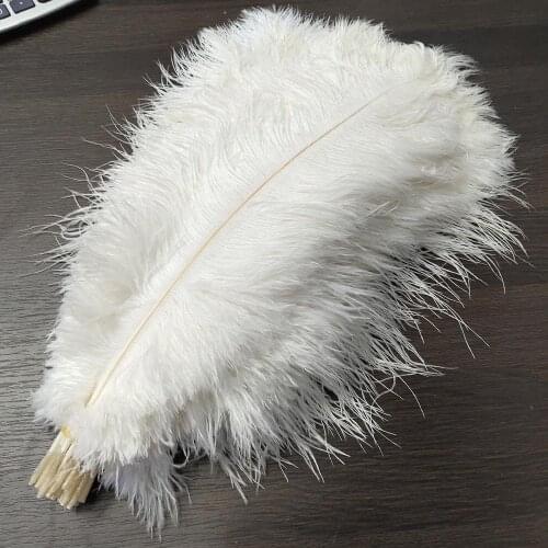 Wholesale 10pcs Beautiful Natural Ostrich Feathers White 22-24 inch/55-60 cm For DIY Jewelry Craft Making Decoration