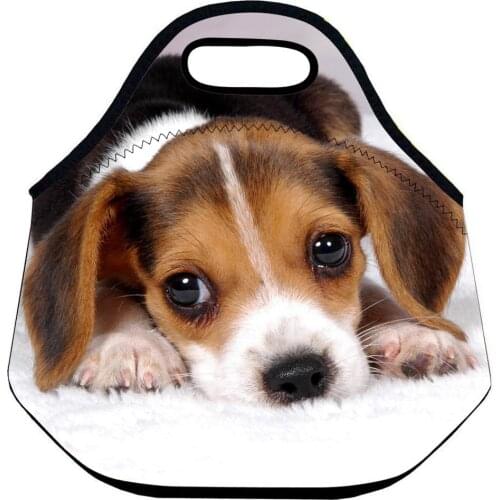 Pet Photo Dog Lunch Bag for Kids School Printed Waterpoof Neoprene Kids for School Lunch Bag Woman Food Package Various Pattern