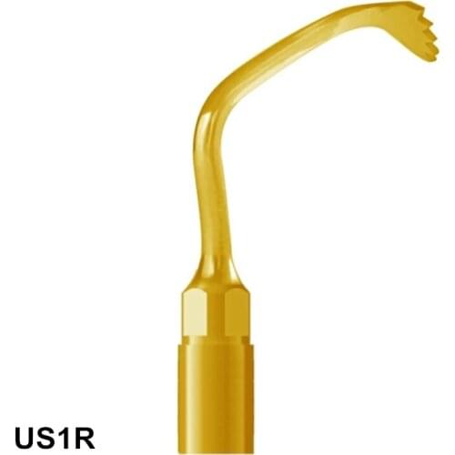 Right Angle Ultrasurgery Tip 1PCS US1R Tooth Care For MECTRON And WOODPECKER Piezosurgery Equipment Perfect Smile Veneers Tools