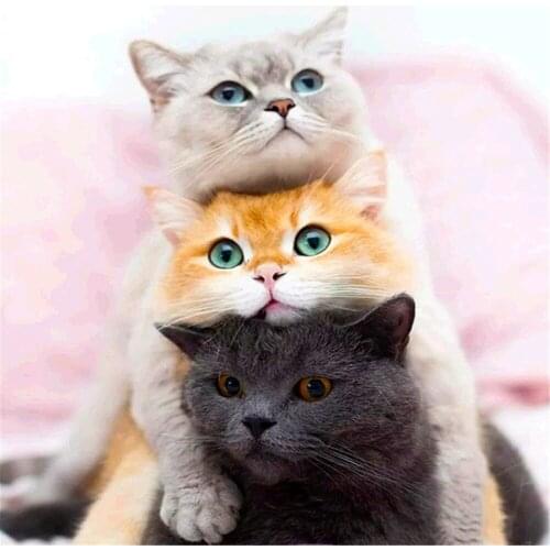 Animal Cat DIY 11CT Cross Stitch Embroidery Kits Craft Needlework Set Cotton Thread Printed Canvas Home Decoration Wholesale