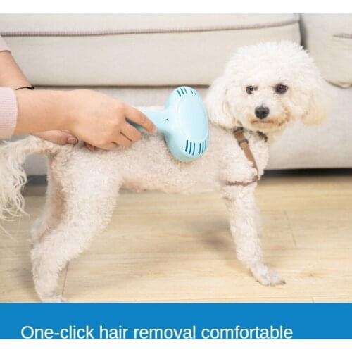 Pet Hair Removal Gadgets for Cats and Dogs Portable All -in-One Hair Dryer Teddy Grooming