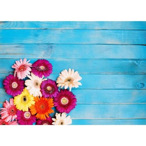 Photography Backdrops Photocall Light Blue Wood Plank Flowers Vinyl Backgrounds for Photo Studio Cake Food Cream Photo Shootings