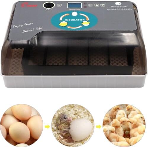 Full Automatic Incubator Brooder Farm Hatchery Machine 12 Egg Hatcher Chicken Automatic Egg Incubator Goose Bird Quail Brooder