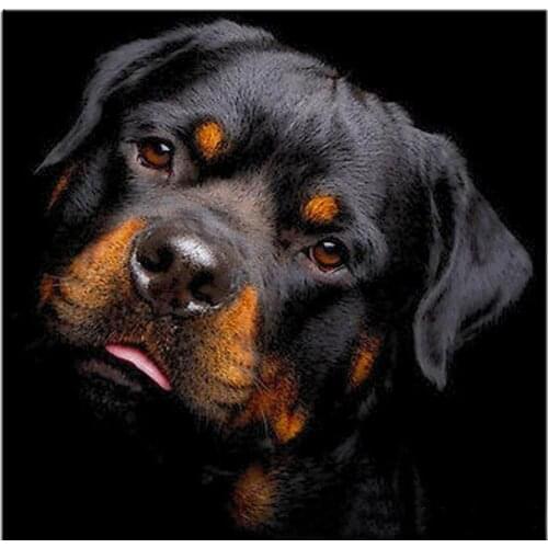 New Full Square 5D Diy Diamond Painting Cute Dog Diamond Embroidery Cross Stitch Rhinestone Diamond Mosaic Painting Home Decor