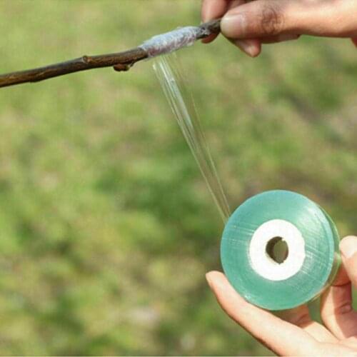 Grafting Tape Moisture Barrier Stretchable Clear Floristry Film Bio-degradable (100m X 20mm)
