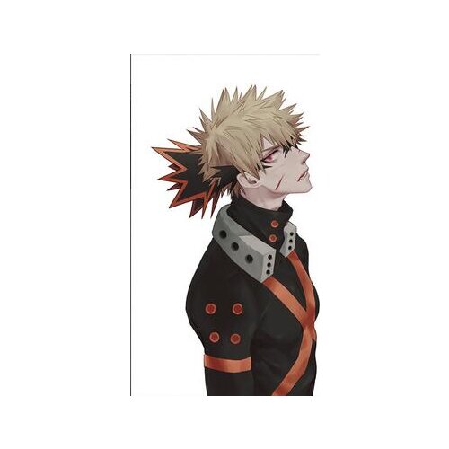 42style Choose Boku no My Hero Academia Bakugou Shoto Shouto Anime manga Art Print Silk Poster 24x36inch