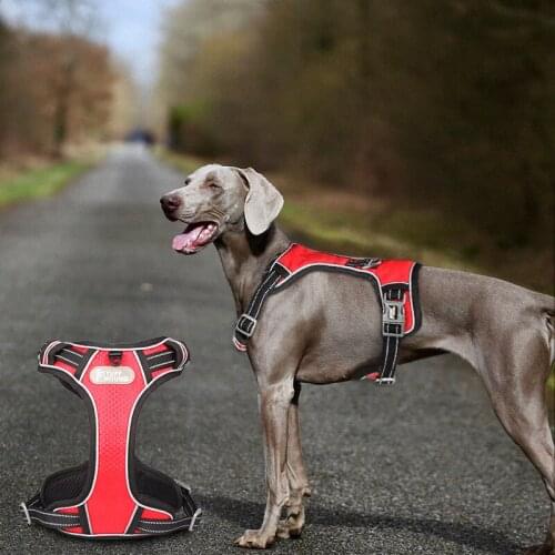 Reflective Big Dog Harness Vest for Small Medium Big Dogs Collar All-weather Sports Training Pet Harnesses Husky Chest Strap