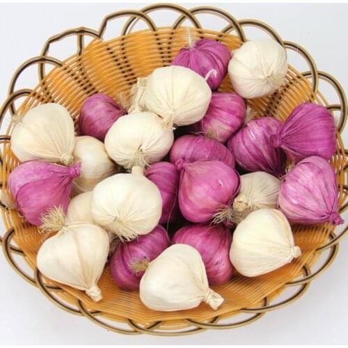 Lifelike Artificial Fake Garlic Vegetables Model Party Home Kitchen Decor Kids Props Toy