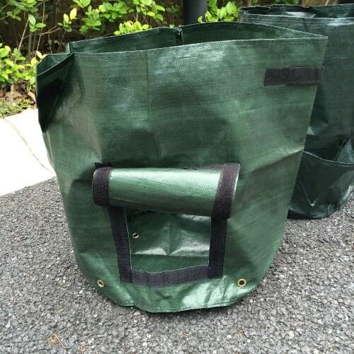 Pocketgarden Vegetable Seeds