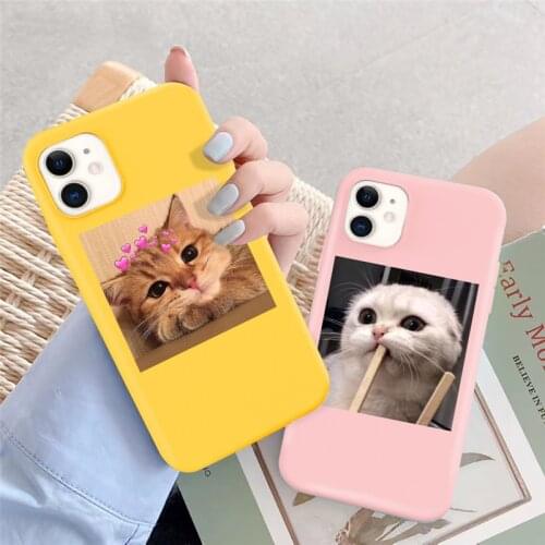 Cute Cat Photo Candy Color Phone Case For iPhone 12 11 Pro X XR XS Max SE 2020 7 8 Plus 5 6 6s Shockproof Soft Silicone Cover