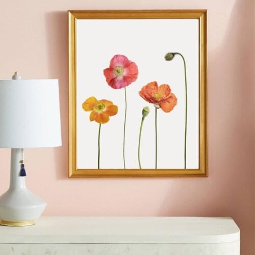 Poppy Flower Modern Photography Poster Beautiful Botanical Floral Art Print Farmhouse Plants Canvas Painting Home Wall Art Decor