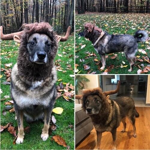 Dog Ox Horn Headgear Pet Headdress Wig Hat Fashion Pet Dress Up Ox Horn Hair Accessories Warm Magic Wig Hat Durable Dog Supplies