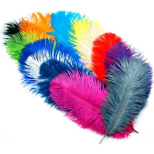 Ostrich Feather 20-25cm(8-10") 5pcs/Lot Colorful Supplies DIY Jewelry Craft Making & Wedding Party Clothing Decoration