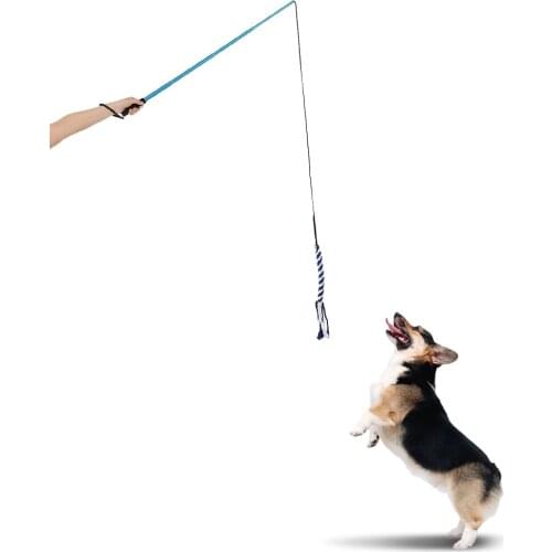 Extendable Dog Puppy Teaser Pole Wand Outdoor Interactive Pet Dog Flirt Pole Training Exercise Rope Toy