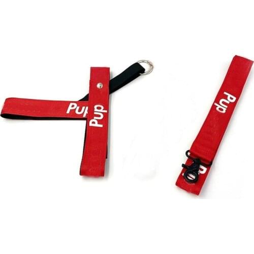 Dog Harness Leash Set for Small Medium Dogs Funny Letter Print Dog Chest Strap Leading Rope French Bulldog Accessories A219