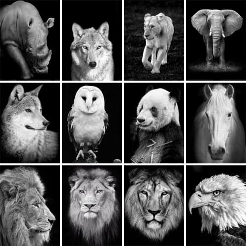 EverShine Diamond Painting Black And White Animals Rhinestones Art Diamond Mosaic Wolf Cross Stitch Bead Embroidery Home Decor