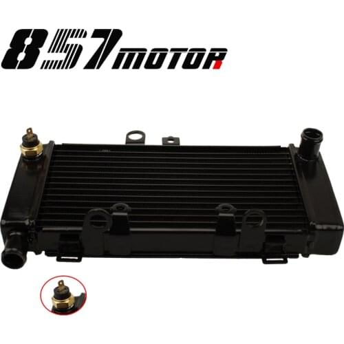Motorcycle Replacement New Aluminum Radiator Cooler Water Cooling System Water Tank For Honda CB250 Hornet Hornet250