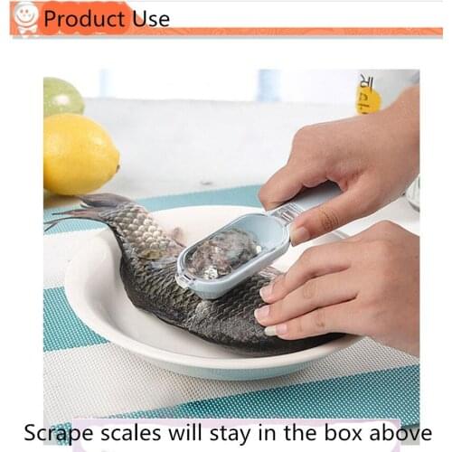Give Your Best Instruments For Seafood