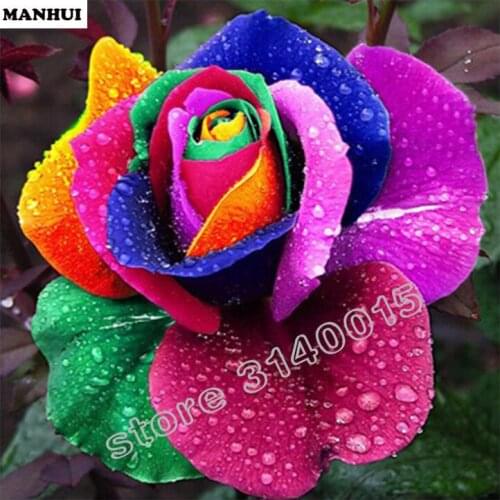 Diamond Embroidery 5D DIY Diamond Painting Rose Flower Diamond Painting Rhinestone Cross Stitch Decoration BEC149
