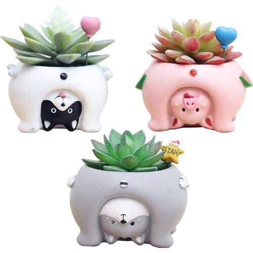 Cute Cat Pig Dog Succulent Plant Container Resin Flower Pot Bonsai Ornament Lovely Flower Pot Resin Plant Pot Succulents Pots