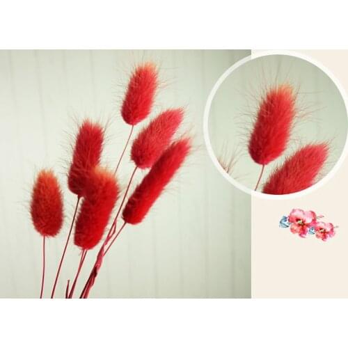 50/60pcs Dried Flower Grass Decoration Photography Props for Home Store Wedding EIG88