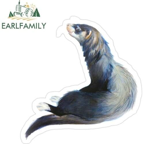 EARLFAMILY 13cm x 7.3cm for Ferret Car Stickers Personality Motorcycle Fine Waterproof Snowboard Bumper Window Decal for Vehicle