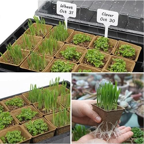 Seedling Tray Set with Transparent Lid Plant Germination Healthy Plastic Accessory