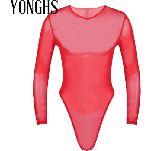 Mens Erotic Lingerie See-Through Mesh Bodysuit Sexy Sleepwear Long Sleeve High-Cut Thongs Back Zipper Leotard Slim Fit Jumpsuit