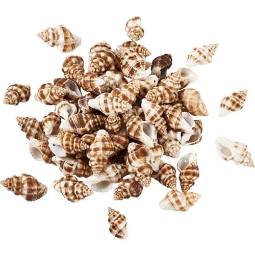 Spiral Shell Pendants Loose Beads for Jewelry Making DIY 20.5~30.5x13.5~17.5x10.5~16mm, Hole: 1.5mm; about 161pcs/box