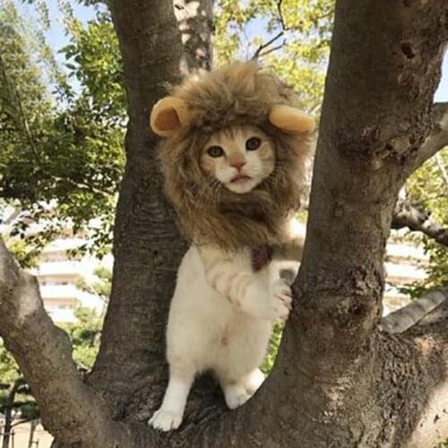 Funny Cute Pet Costume Cosplay Lion Mane Wig Cap Hat for Dog Cat Halloween Xmas Clothes Fancy Dress with Ears Autumn Winter