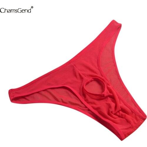 Sexy Lingerie Mens Silk Underwear Briefs Men T-back Perspective Gauze Hole Hollow Outtransparent Panties Underpants Dropshipping