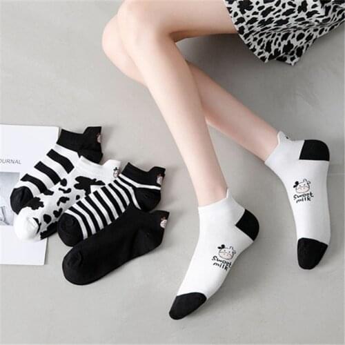 5 Pairs fashion cartoon animal panda pattern 5 star socks womens playful fun socks womens casual cotton ankle socks for girls