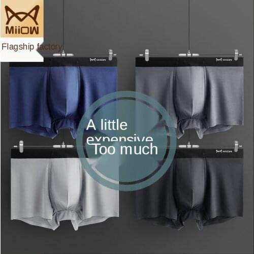 MiiOW Mens Underwear Mens Boxer Shorts Pure Cotton Breathable Antibacterial Youth Boxer Shorts Boys Shorts