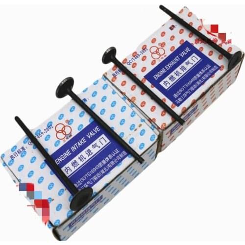 16pcs/set Engine intake and exhaust valve for Dongfeng A30 AX3 A60 AX7 S30 H30 CROSS 1.5L 1.4T