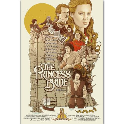 Anime THE PRINCESS BRIDE Vintage Movie Silk Fabric Wall Poster Art Decor Sticker Bright
