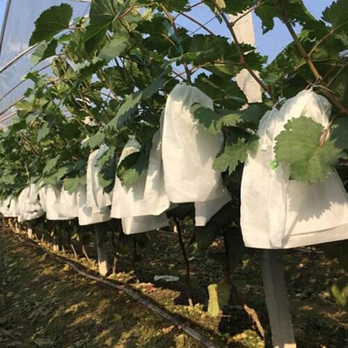 100Pcs Grape Protection Bags For Fruit Vegetable Grapes Mesh Bag Against Insect Pouch Waterproof Pest Control Anti-Bird Garden