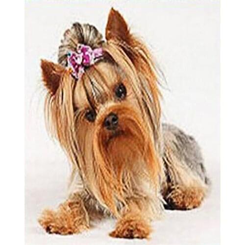 Cute Dog With Bow 11CT Cross Stitch Kit Craft Needlework Set Canvas Printed Cotton Thread Christmas Gift Home Decor New Design