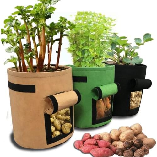 1 Pc Portable Sweet Potato Planting Bag Grow Bag Potato Beauty Plant Bags BeautyStorage Bags Plant Growth Bag Potato Pot