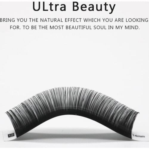 2020 Individaul Lash Makeup Eyelashes Extensions Mink eyelashes Lashes Vendors Natural Soft Professional High Quality