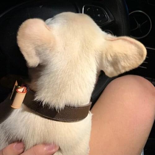 Pet Dog Collar for Small Medium Dogs Fashion Accesorios Para Perros Pet Products for Dogs Yorkie Pug Accessories PDCA228