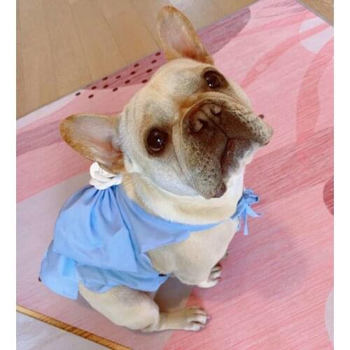 French Bulldog Dress Summer Pet Dresses Poodle Bichon Schnauzer Pug Dog Clothes Welsh Corgi Clothing Skirt Dropshipping