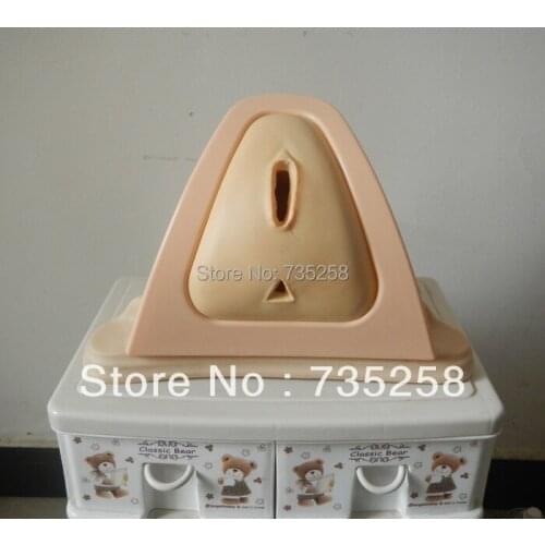 Episiotomy Traning Simulator,Senior Perineum Incision Suture Skill Training Model