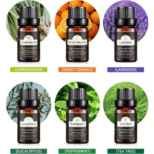 10ml Pure Natural Plant Aroma Essential Oils 6pcs Gift Set Car Diffuser Eucalyptus Mint Lemongrass Tea Tree Oil