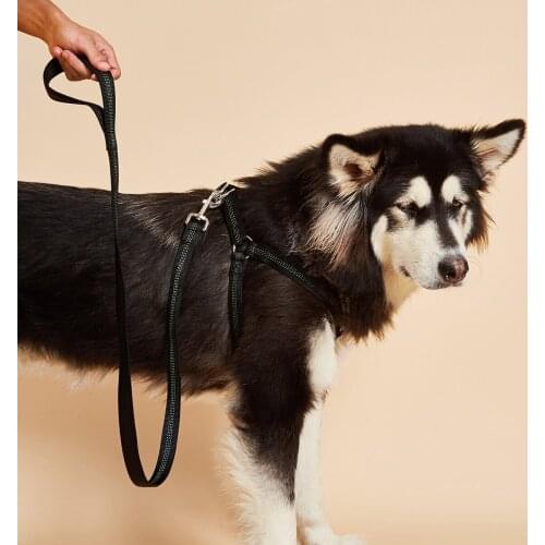 No Pull Dog Harness Reflective Adjustable Basic Nylon Step in Puppy Vest Outdoor Walking