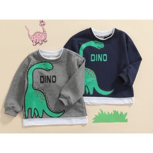 2-7Y Toddler Kids Baby Boy Long Sleeve O-neck Cartoon Dinosaur Pullovers Sweatshirt Hoodies Autumn Clothes
