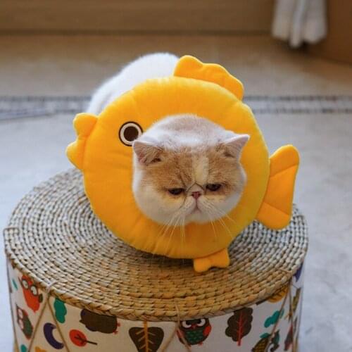 New Cat Pet Protection Collar Cute Fish Pet Dog Cat Collar Adjustable E-Collar Wound Healing Soft Prevent Bite Elizabeth Circle