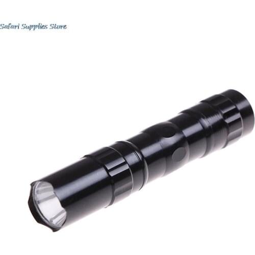 Waterproof Mini LED Flashlight Torch Pocket Light Portable Lantern AA Battery Powerful Led For Hunting Camping