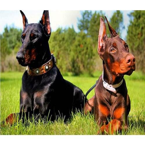 NEW 5D DIY Diamond Painting Diamond Embroidery Paint with Diamonds Mosaic Puzzels diamond picture art Dog wedding decoration