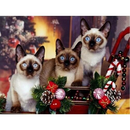 Christmas cute kitten diamond painting siamese cats diamond mosaic embroidery full drill cross stitch patterns mosaic kit YG1554