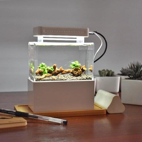 Dreamburgh Home Aquariums